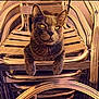 cat, chair, stacked_chairs, furniture, animal, pet, lounge, relaxing, texture, digital_art, painting_effect, warm_colors, ears, whiskers, paws, eyes, metal, wood, indoor, closeup