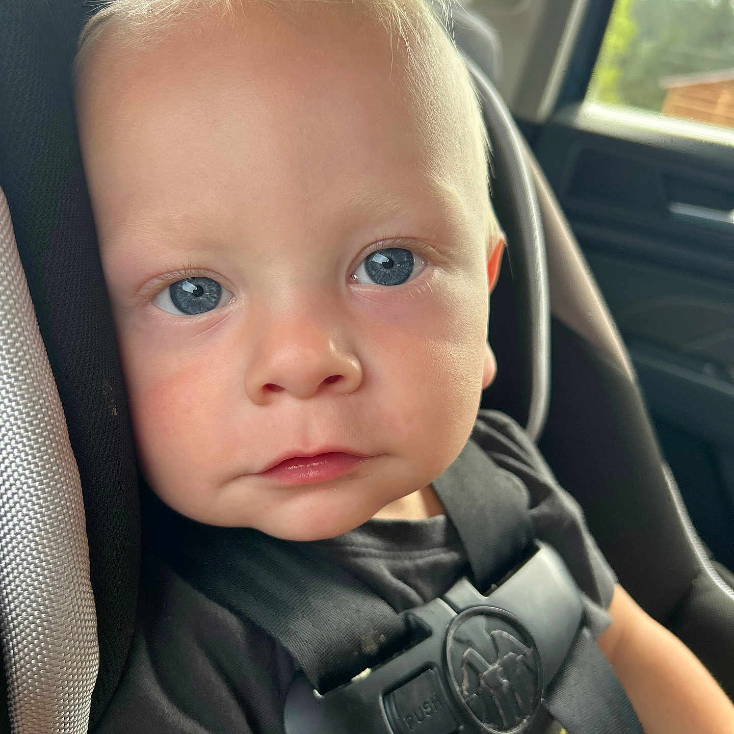 Kylan is registered to the contest to win money with this photo: toddler, child, baby, car_seat, blue_eyes, blonde_hair, face, portrait, seatbelt, black_shirt, closeup, car_interior, young_child, infant, safety_harness, cute, looking_at_camera, daylight, seat, person