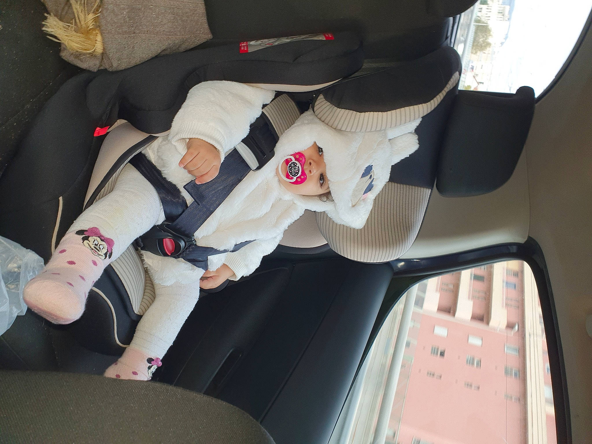 Houria a rejoint le concours — aidez-le/la à gagner de superbes lots ! auto_part, automotive_design, automotive_exterior, automotive_wheel_system, car, car_seat, car_seat_cover, carmine, comfort, family_car, head_restraint, headwear, human_leg, luxury_vehicle, motor_vehicle, person, personal_luxury_car, personal_protective_equipment, plant, vehicle