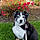 Maddie
