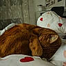 cat, ginger_cat, sleeping, bed, blanket, heart_pattern, cozy, fur, curled_up, indoor, comfort, cute, pet, animal, resting, soft_light, pillow, feline, home, relaxation