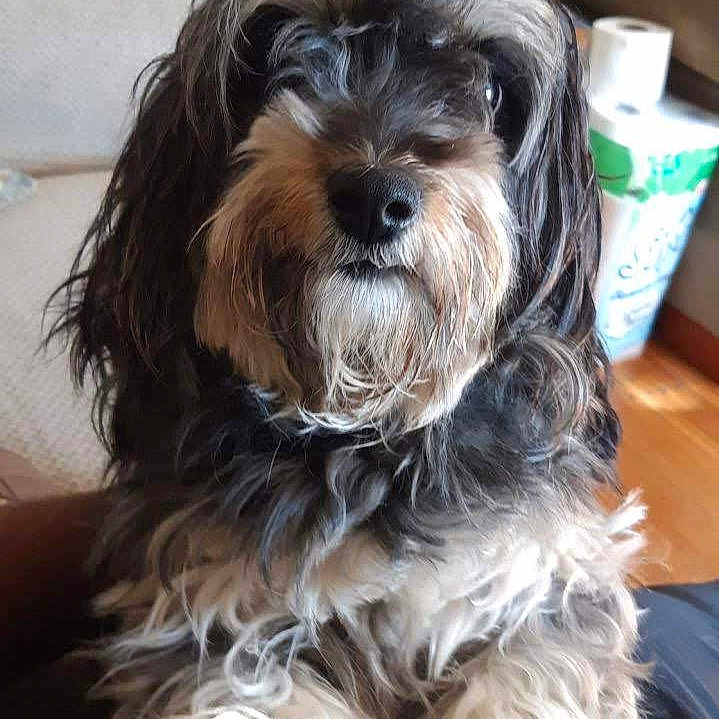Chloe