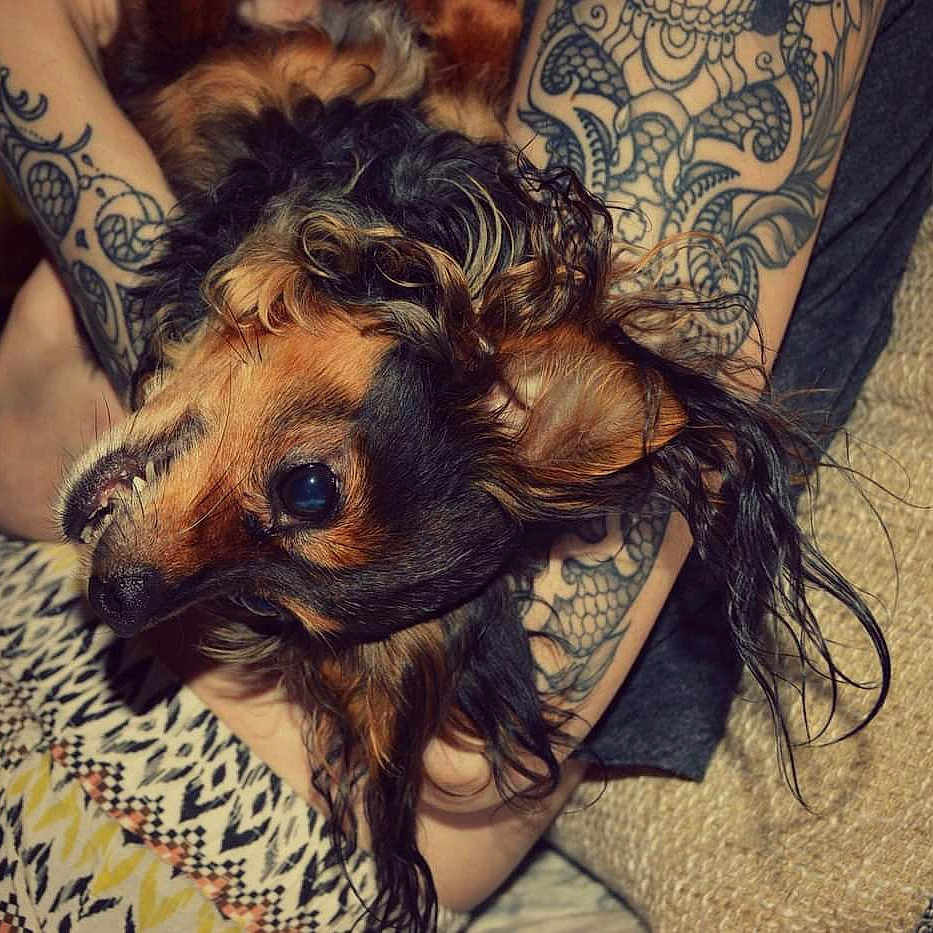 Peeter