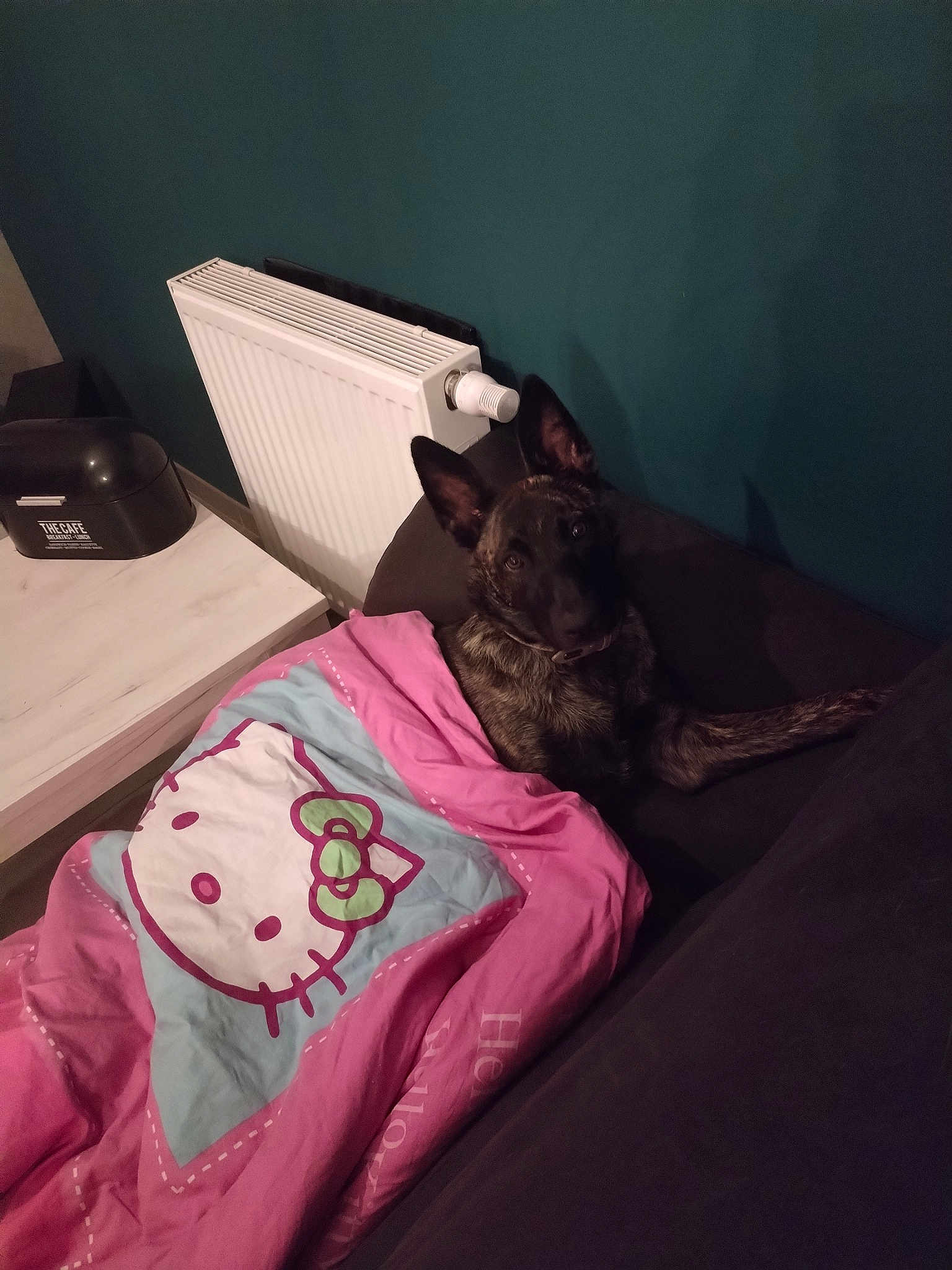 Taïga