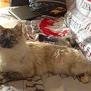 Scarlette participe au concours pour gagner de l'argent avec cette photo :