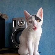 MILKA participe au concours pour gagner de l'argent avec cette photo :