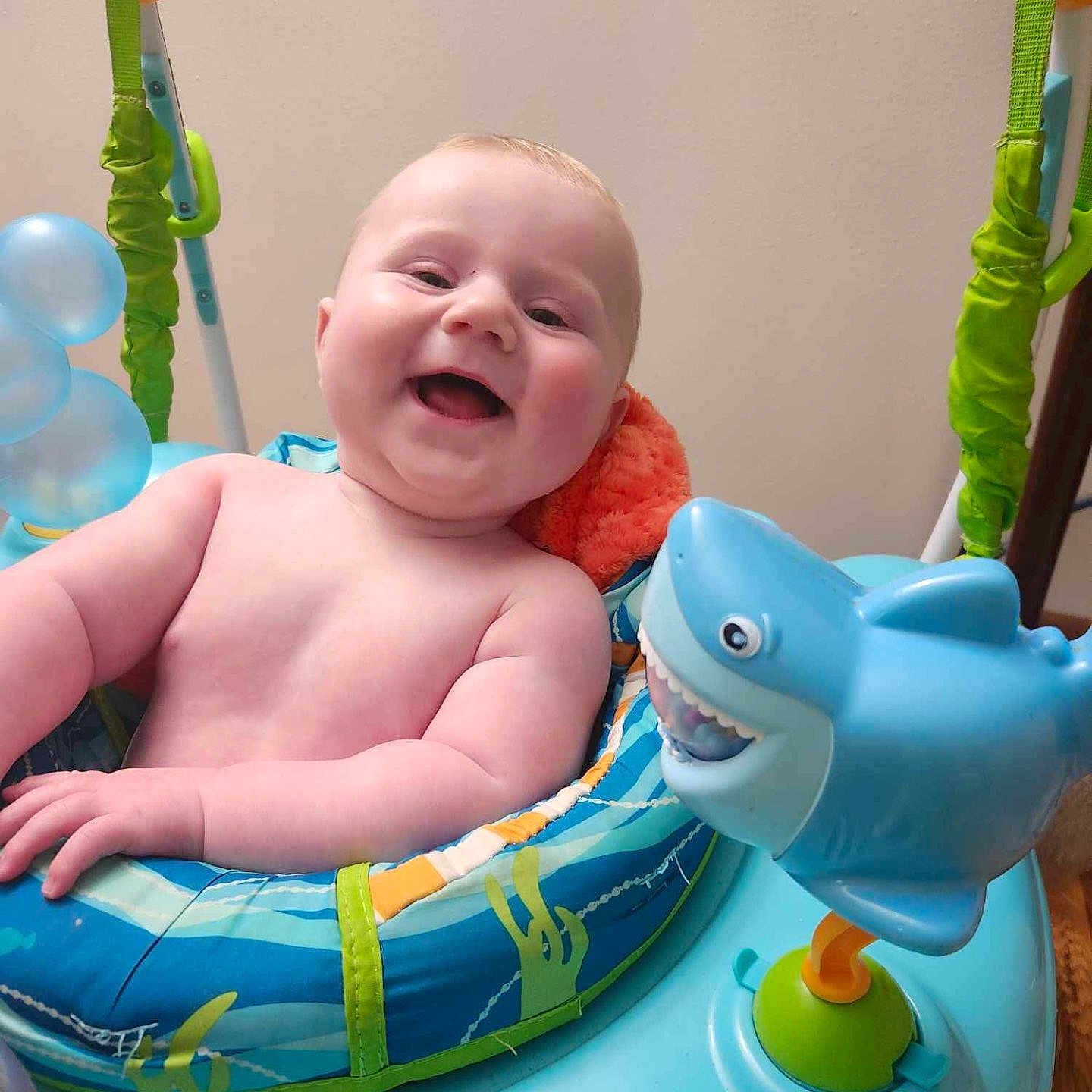 Nova is registered to the contest to win money with this photo: baby, blue, child, colorful, expression, face, furniture, green, happy, indoor, infant, orange, plastic, play_center, purple, seat, shark_toy, skin, smiling, toy