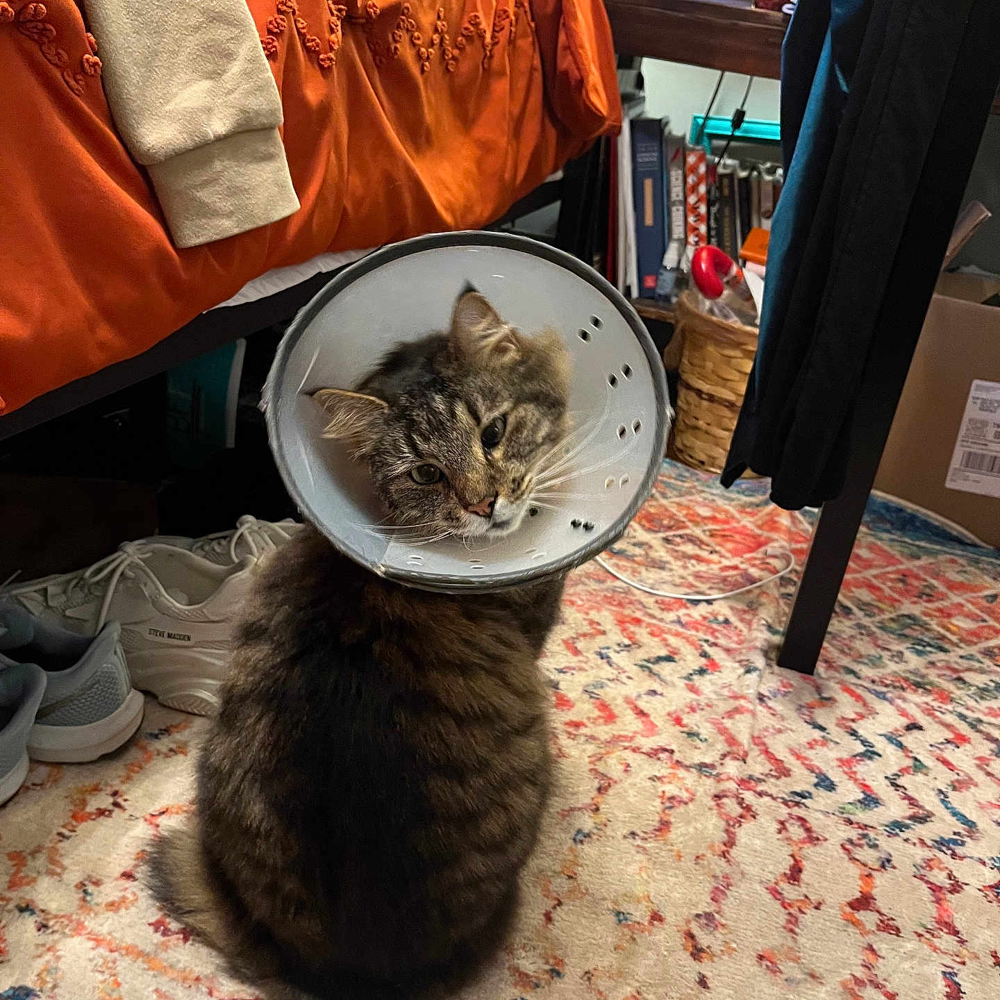 Oscar
