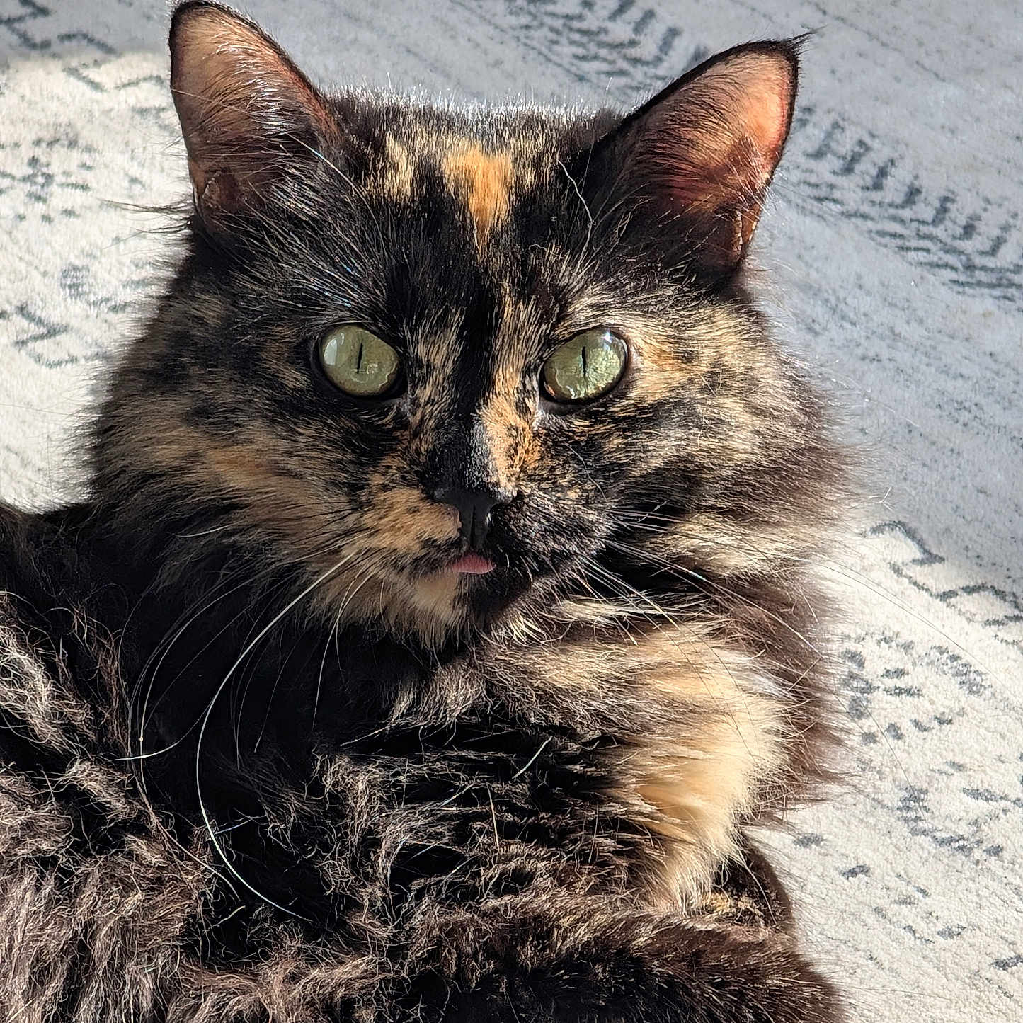 Effie
