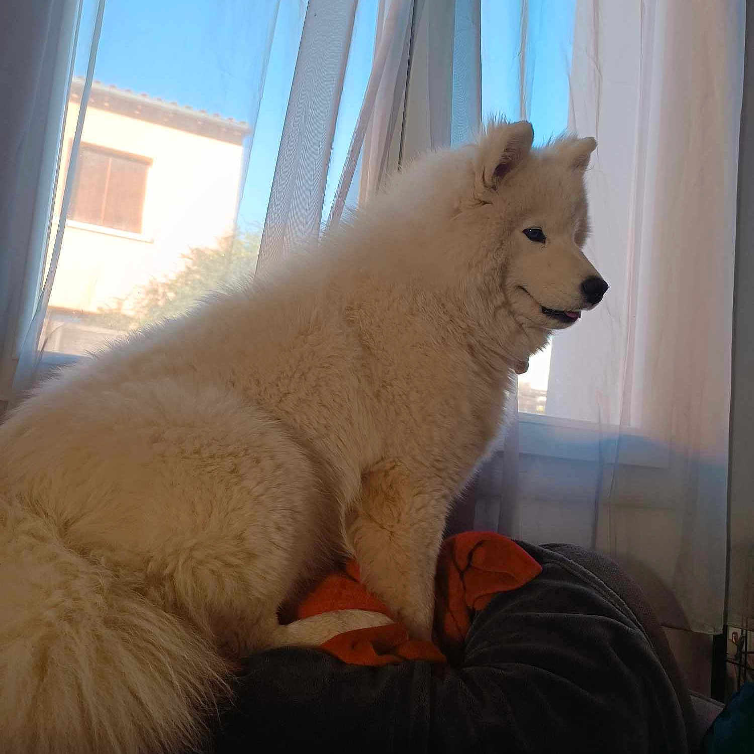 Toundra