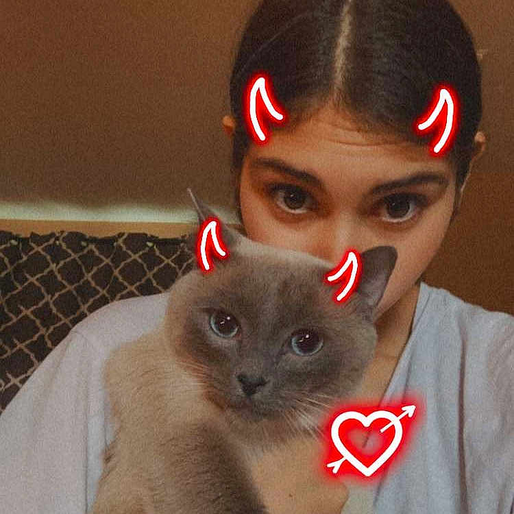 Kyo is registered to the contest to win money with this photo: person, cat, indoor, close_up, pet, gray_cat, holding, face, animal, feline, cute, playful, doodle, red_horns, heart_symbol, casual_clothing, young_adult, expression, cozy, portrait