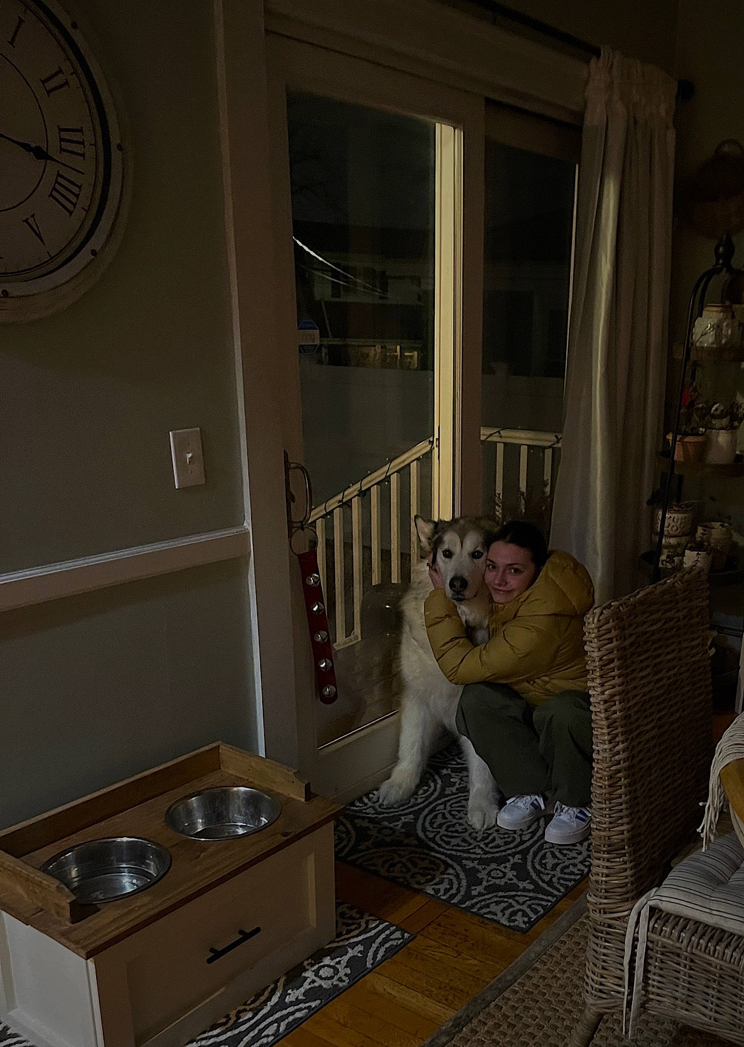 Sully is registered to the contest to win money with this photo: cabinetry, ceiling, comfort, curtain, door, floor, flooring, hardwood, home, house, interior_design, kitchen, laundry_room, living_room, major_appliance, property, room, toy, washing_machine, wood