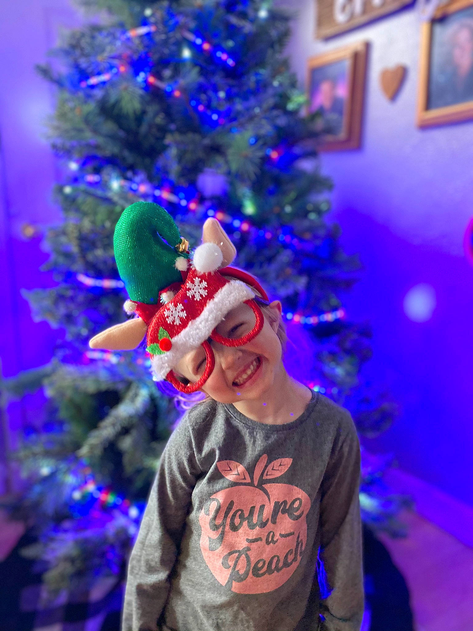 Brynn joined the competition — help win amazing prizes! christmas, christmas_decoration, christmas_eve, christmas_lights, christmas_ornament, christmas_tree, conifer, costume_accessory, costume_hat, event, evergreen, hat, headwear, holiday, interior_design, joy, ornament, party_supply, person, picture_frame