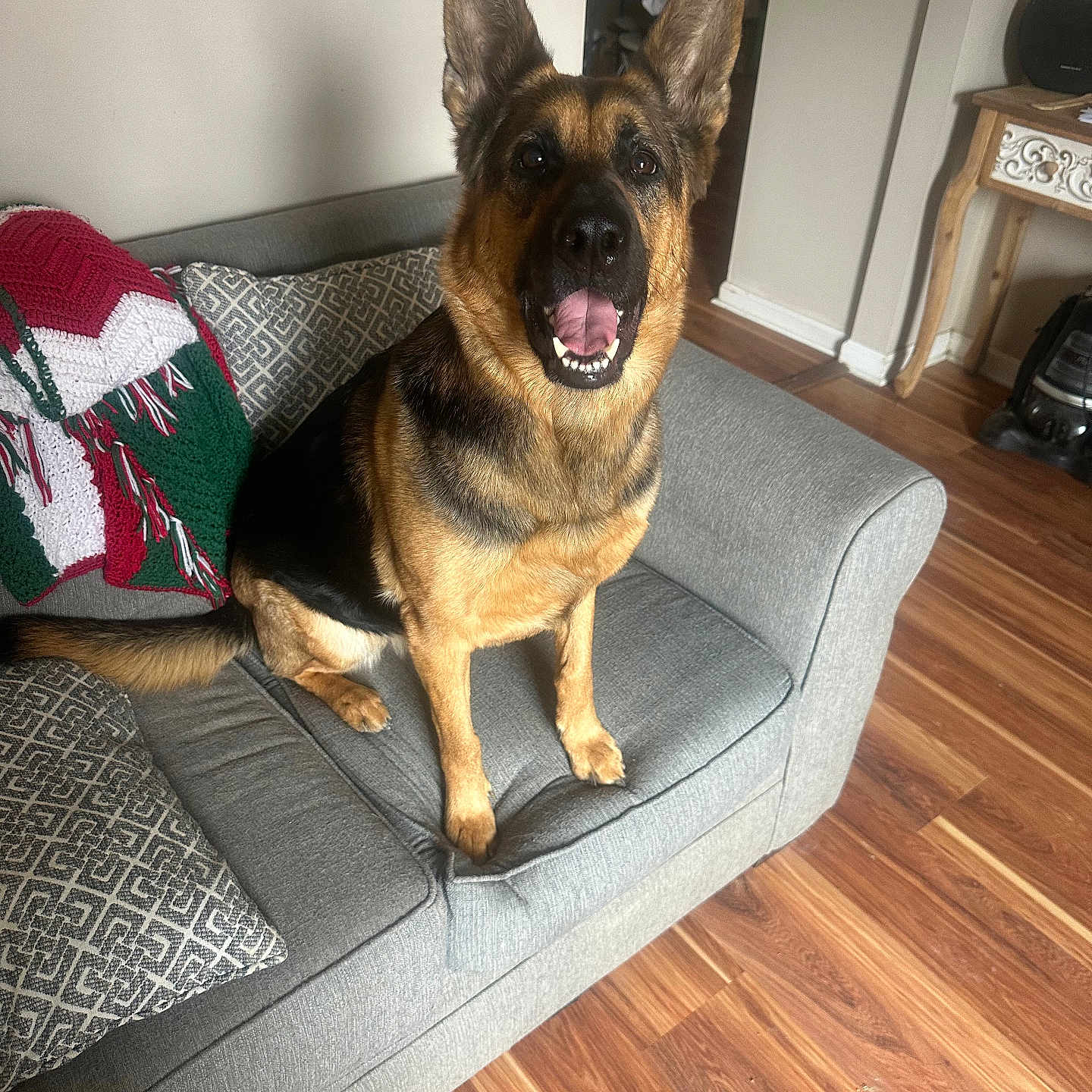 Maya