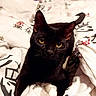 Bandit joined the competition — help win amazing prizes! black_cat, cat, pet, indoor, bed, bedding, white_sheet, calligraphy, yellow_eyes, fur, animal, cute, relaxed, curious, domestic_cat, whiskers, tail, portrait, feline, cozy