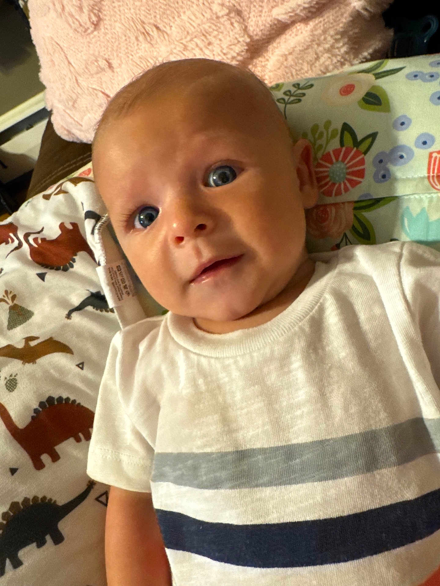 Colten is registered to the contest to win money with this photo: baby, blanket, blue_eyes, child, closeup, cute, dinosaur_pattern, expression, face, floral_pattern, head, indoor, infant, lying_down, pillow, portrait, skin, striped_shirt, white_shirt, young