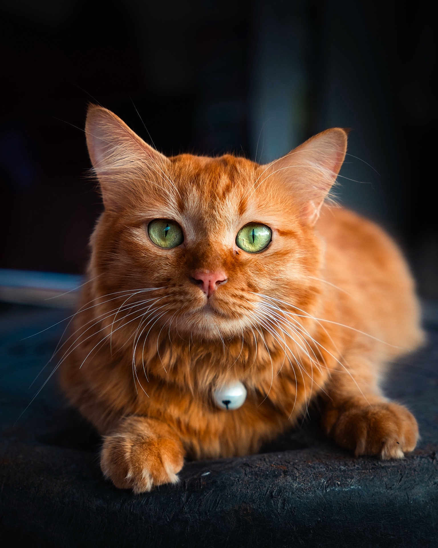 Koko