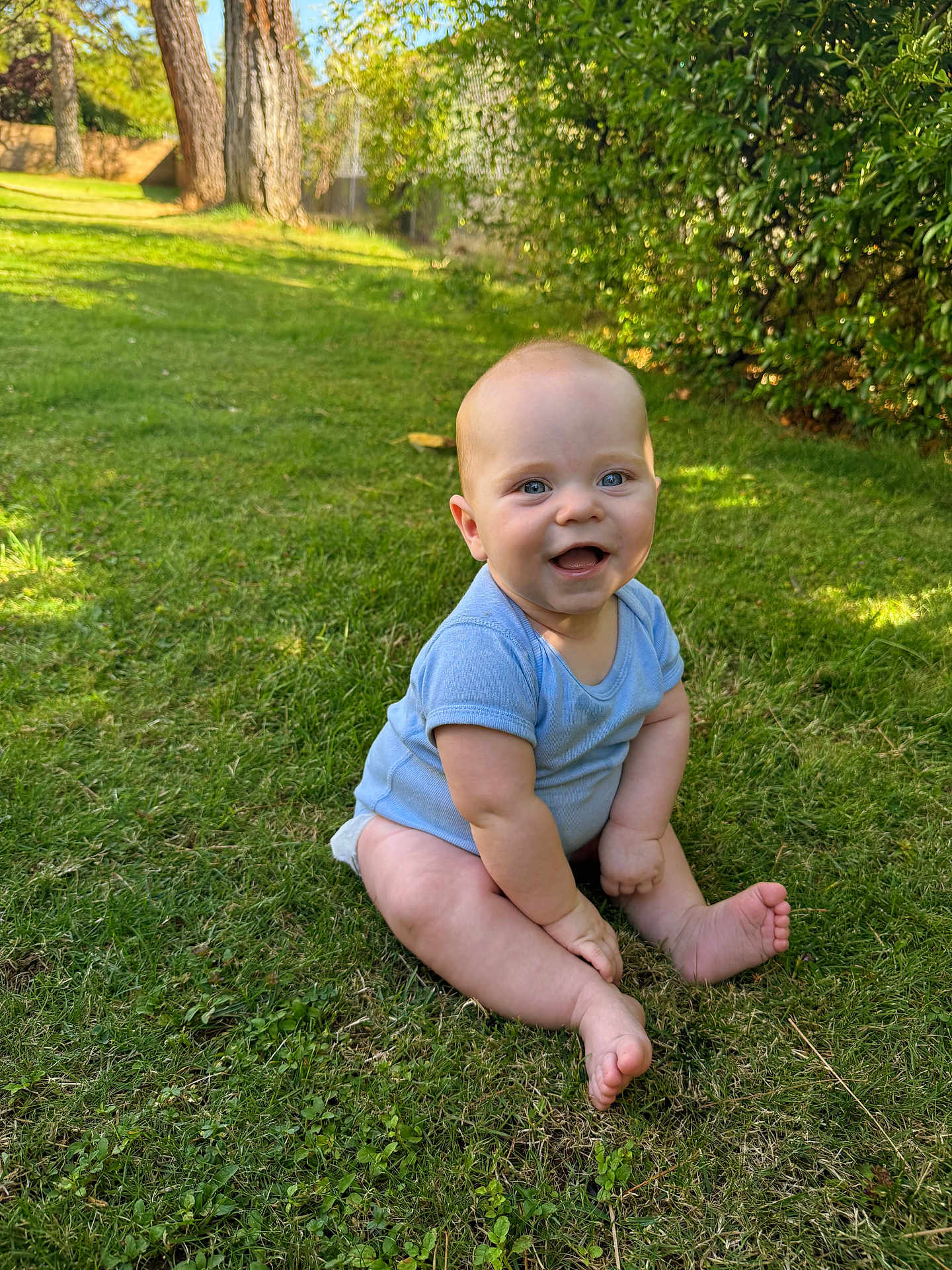 Jude