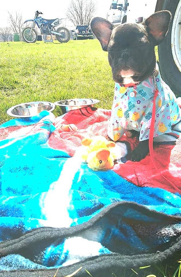 Kawi is registered to the contest to win money with this photo: bicycle_wheel, blue, child, event, fun, grass, leisure, light, mechanical_fan, people, photograph, plant, plastic, plastic_bag, recreation, sitting, spring, tire, toy, wheel