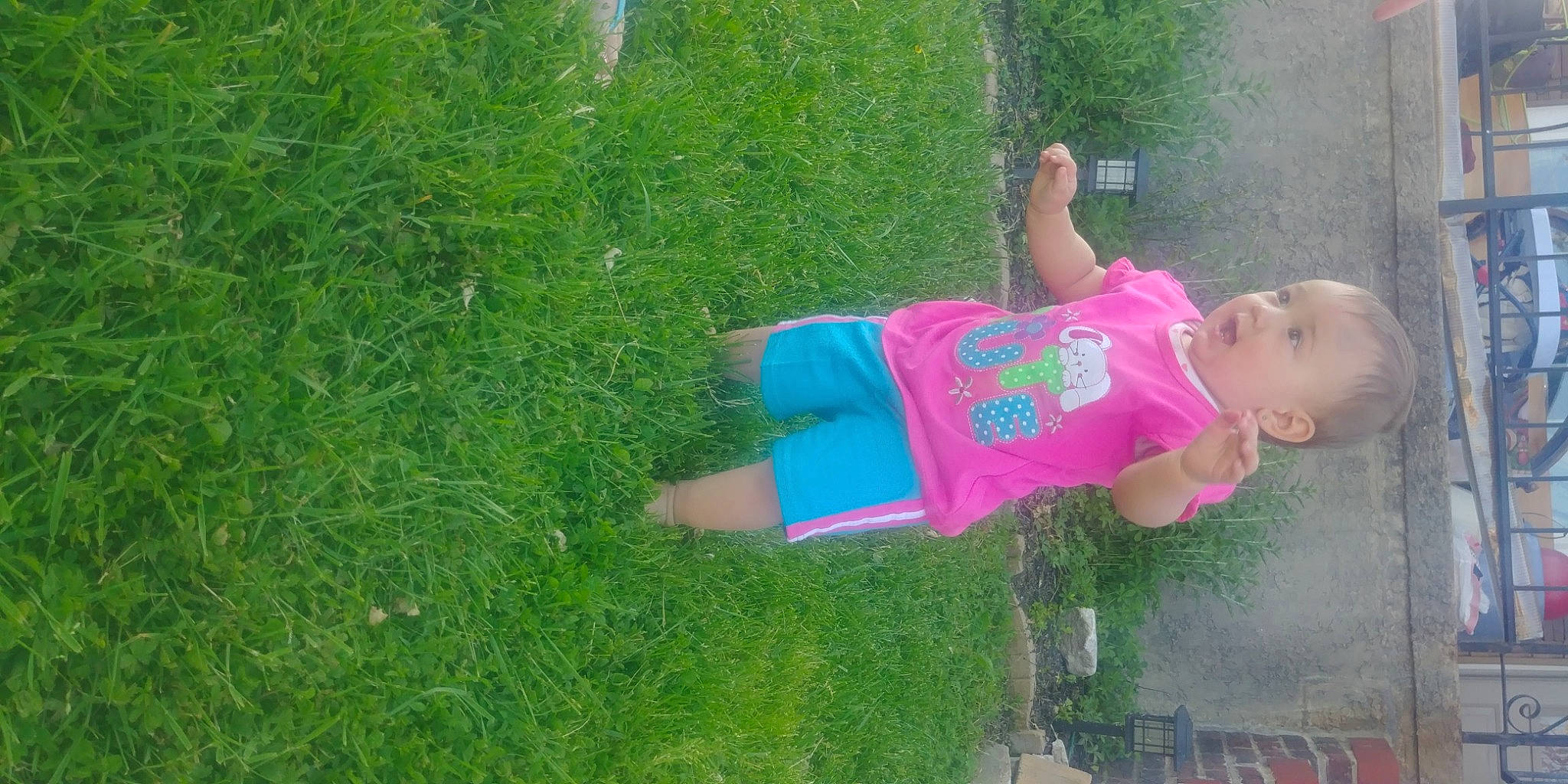 Katrina is registered to the contest to win money with this photo: grass, grass_family, green, lawn, meadow, person, plant, play