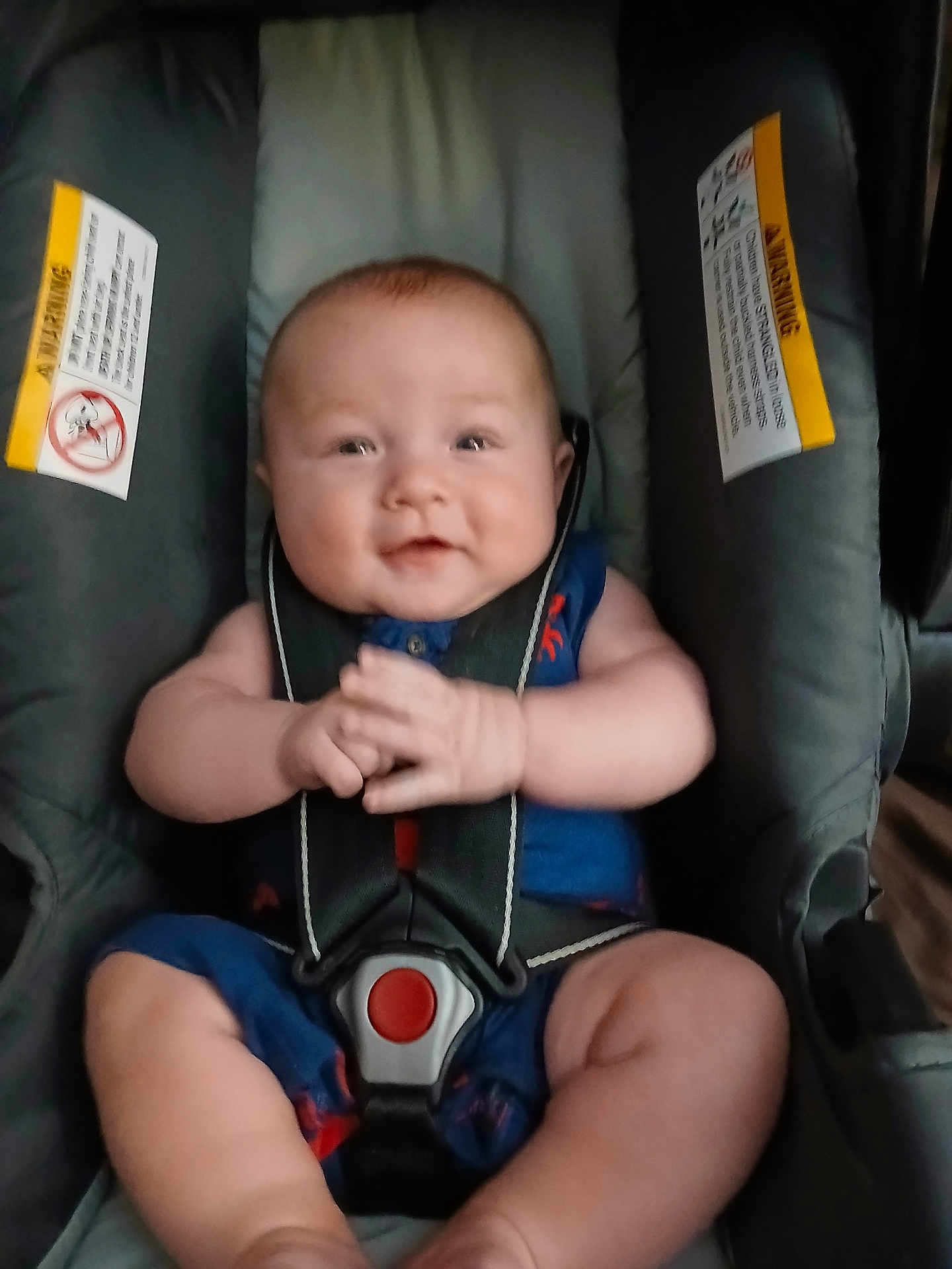 Jax is registered to the contest to win money with this photo: baby, car_seat, child, smile, blue_outfit, infant, seatbelt, happy, cute, chubby, sitting, hands, clasped_hands, indoor, safety, young_child, person, closeup, soft_light, human