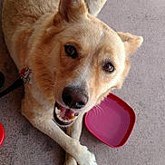 Bailey is registered to the contest to win money with this photo: