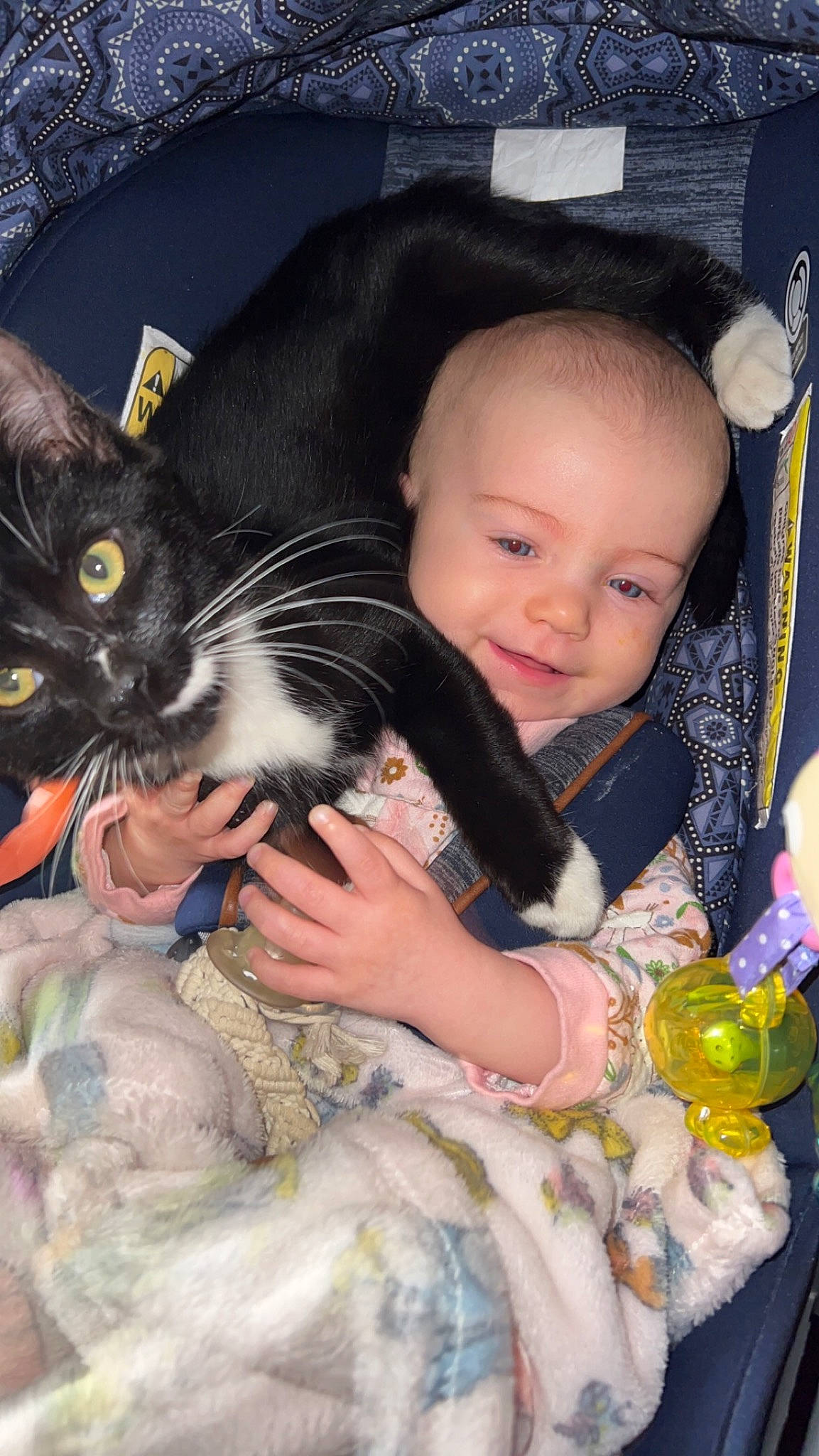 Elisabeth Loni joined the competition — help win amazing prizes! baby, baby_toddler_clothing, carnivore, cat, child, comfort, eye, felidae, fur, happy, iris, lap, person, sitting, skin, small_to_medium_sized_cats, smile, textile, toddler, toy