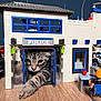 cat, tabby, toy, police_station, miniature, stretching, paw, indoor, floor, plastic, window, door, blue, white, brown_floor, animal, pet, curious, playful, figure