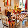 child, cat, chair, table, striped_tablecloth, window, curtains, vase, tulips, papers, wooden_furniture, mirror, plants, ladder_shelf, sunlight, indoor, barefoot, floor_tiles, home_interior, decorations