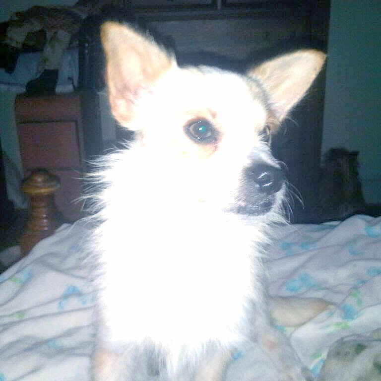 Rudy