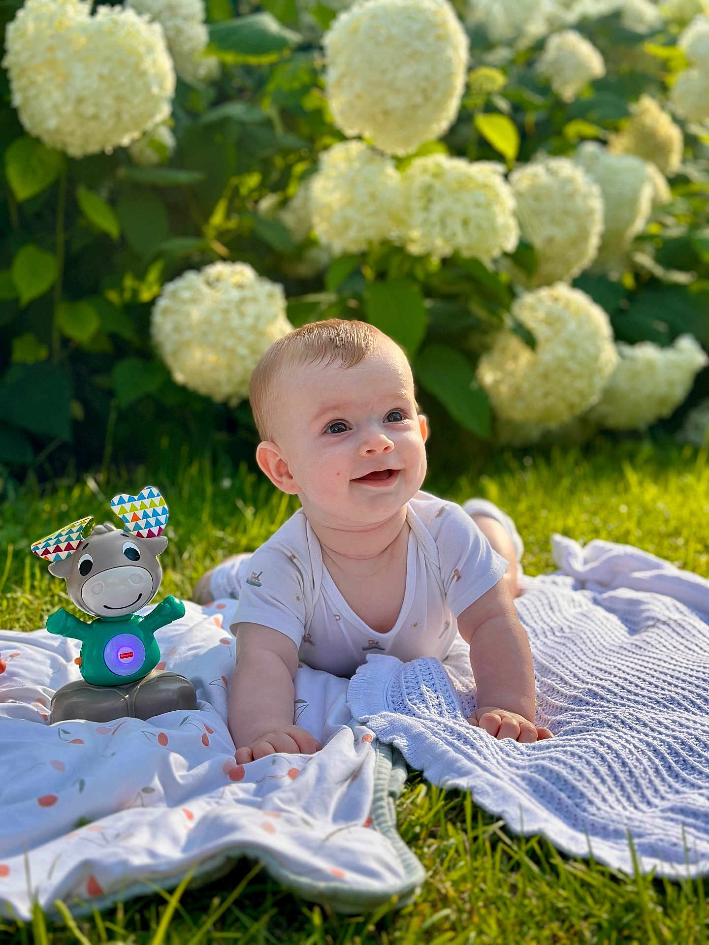 Ostin joined the competition — help win amazing prizes! baby, toy, blanket, grass, flowers, sunlight, smile, outdoor, child, nature, greenery, cute, infant, play, happy, summer, garden, toddler, face, clothing