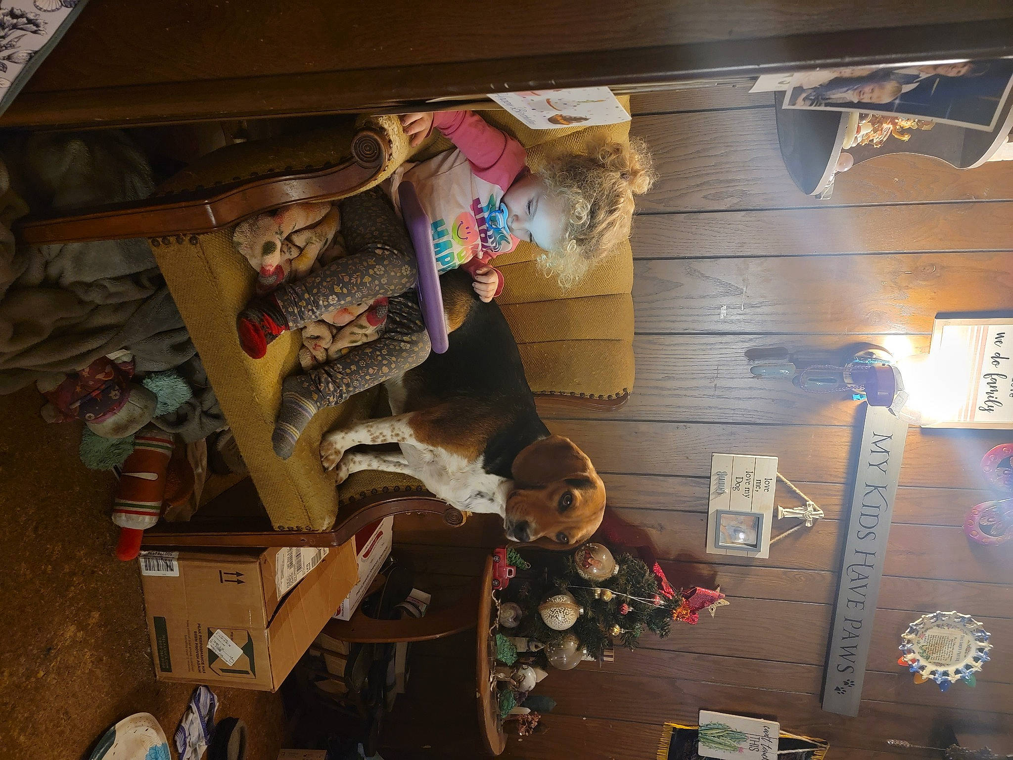 Serenity Grace joined the competition — help win amazing prizes! art, brown, ceiling, flooring, fun, hardwood, machine, room, space, visual_arts, wood