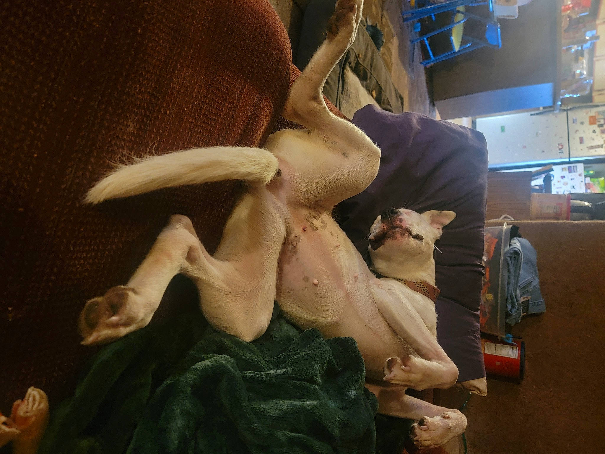 Elli is registered to the contest to win money with this photo: art, baggage, building, carving, classical_sculpture, fawn, fictional_character, fur, jaw, luggage_and_bags, monument, mythology, organism, performing_arts, sculpture, statue, tail, tourist_attraction, visual_arts, wing