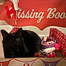 black_cat, cat, feline, pet, animal, portrait, indoors, gift_box, valentines_day, hearts, red, pink, decorations, toys, basket, cardboard, sitting, looking_at_camera, whiskers, home_decor
