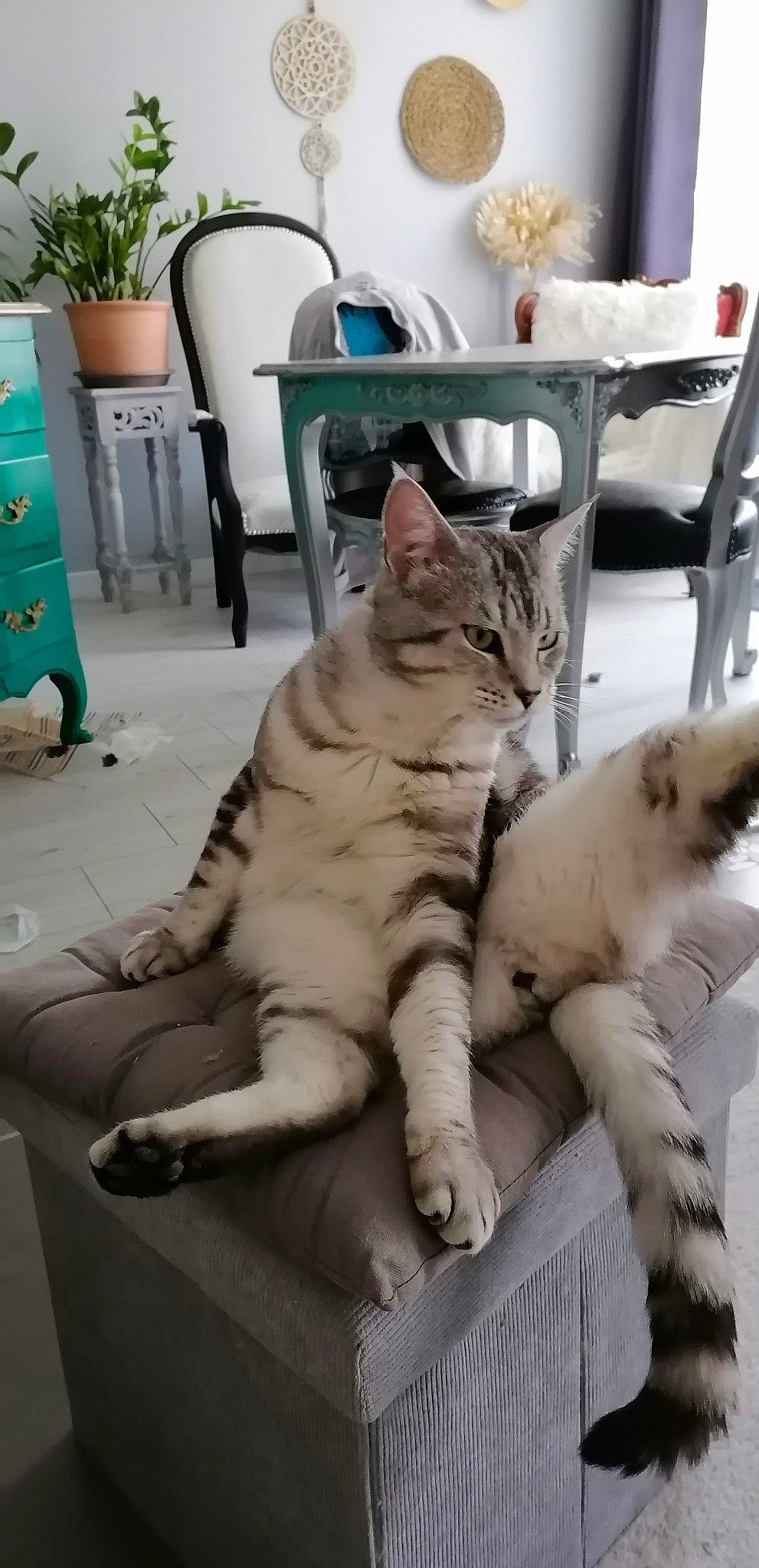 Tigrou