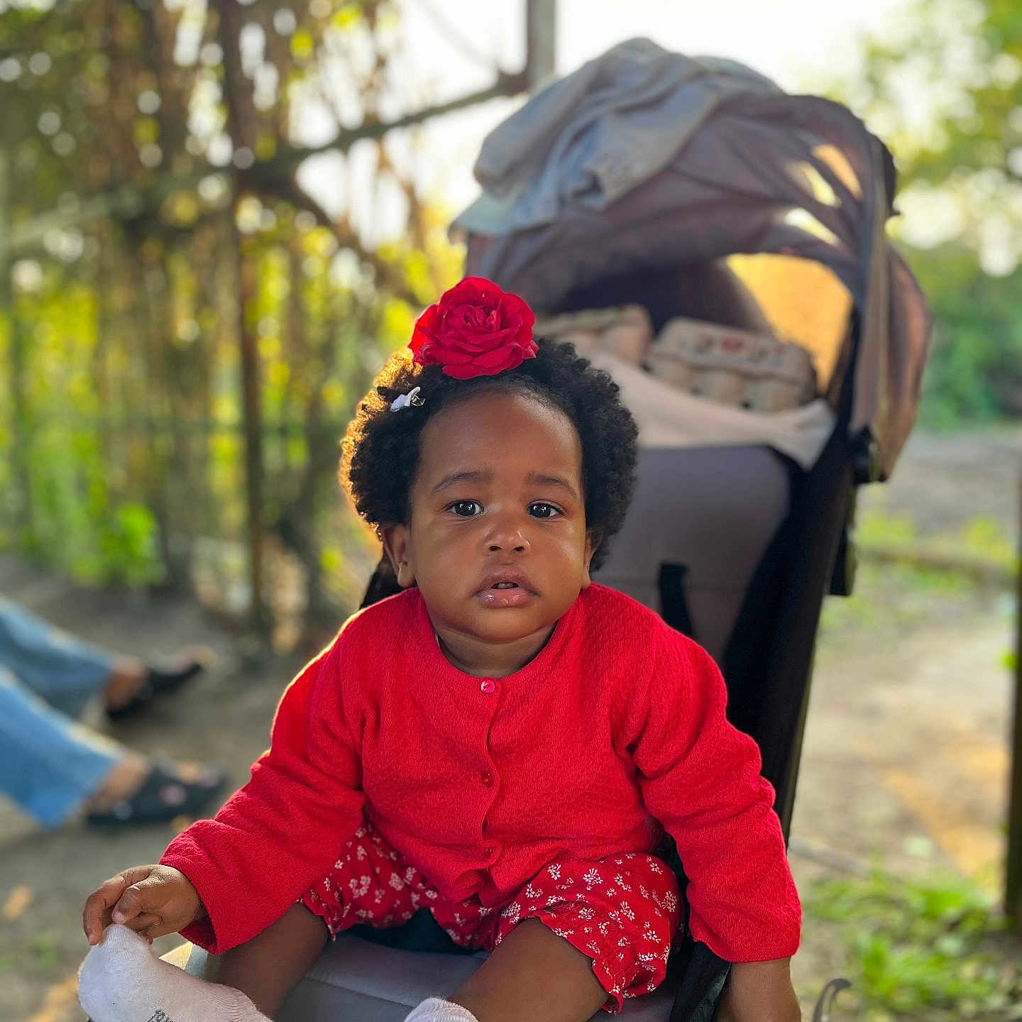 Kailyss a rejoint le concours — aidez-le/la à gagner de superbes lots ! boy, child, clothing, face, female, flower, furniture, girl, happy, head, hosiery, male, outdoors, person, photography, plant, portrait, smile, sock, stroller