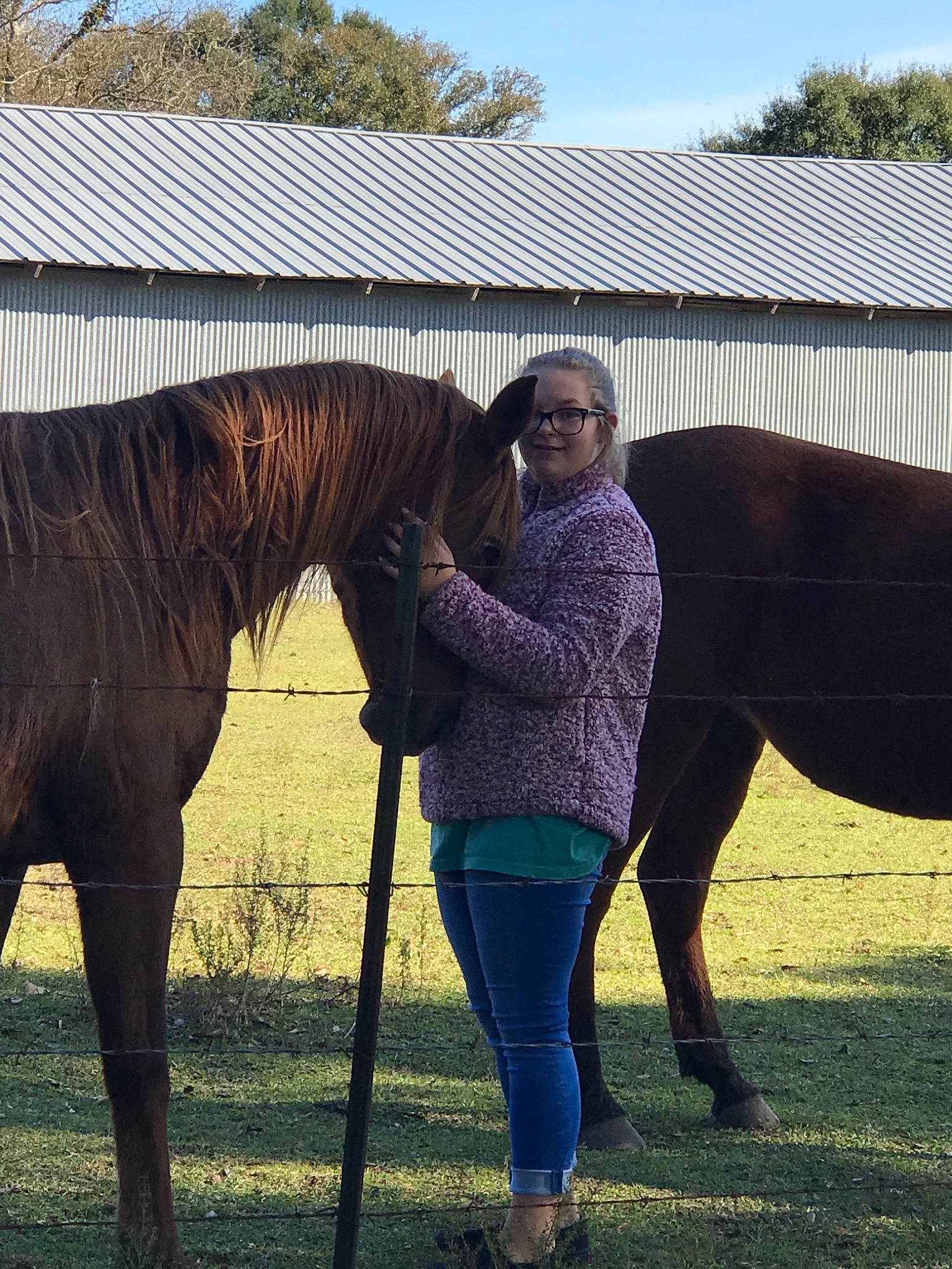 Ashleigh joined the competition — help win amazing prizes! bridle, equestrianism, farm, grass, halter, horse, horse_grooming, horse_like_mammal, horse_supplies, horse_tack, horse_trainer, jockey, joy, mane, mare, mustang_horse, pack_animal, pasture, person, rein