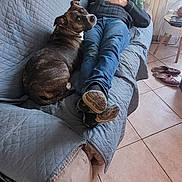 Arkane participe au concours pour gagner de l'argent avec cette photo : blue_jeans, brown_dog, casual_clothing, companion, couch, dog, floor, floor_tiles, home, indoor, living_room, man, pet, quilted_cover, radiator, relaxing, resting, side_table, slippers, sweater