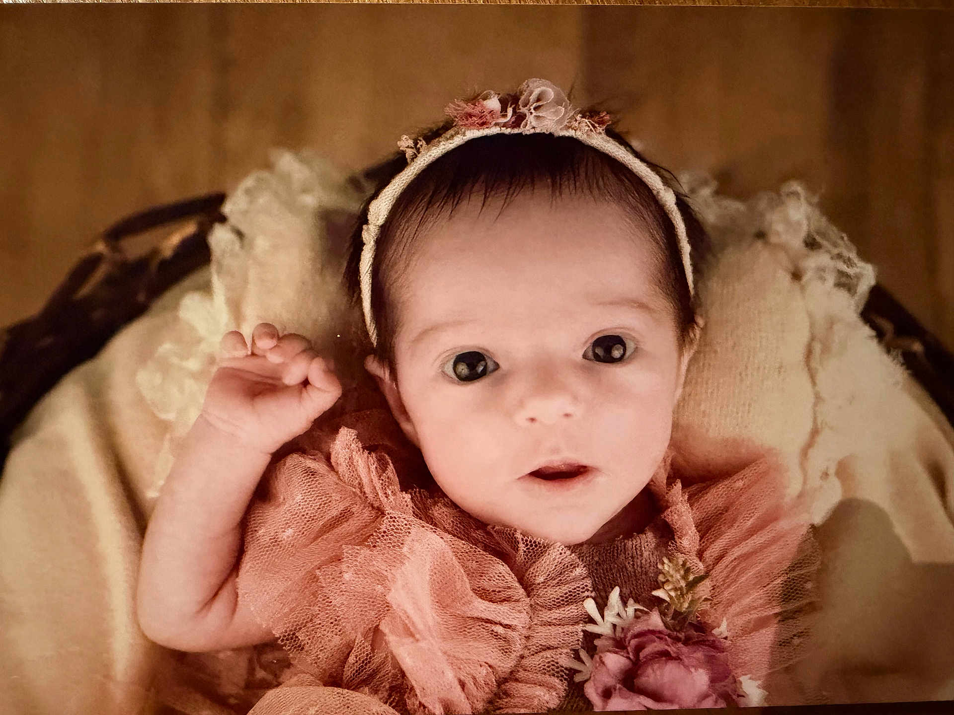 Charlyne participe au concours pour gagner de l'argent avec cette photo : baby, infant, face, headband, pink_clothing, blanket, soft_texture, portrait, cute, newborn, hand, flower, frilly, tulle, lying_down, closeup, child, adorable, baby_girl, curious