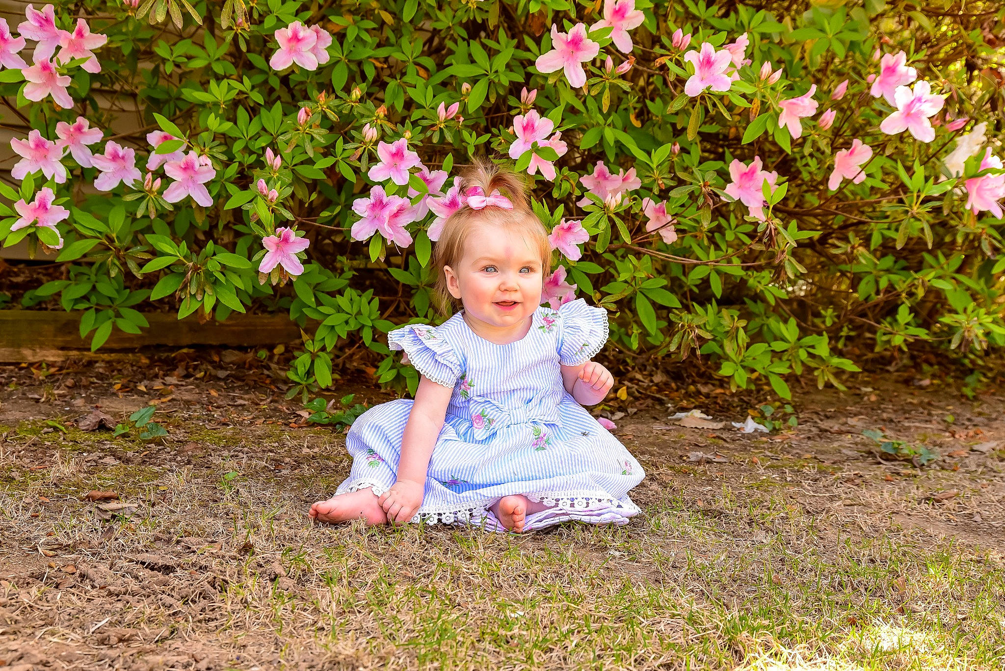 Tinzlee is registered to the contest to win money with this photo: baby, baby_toddler_clothing, botany, clothing, face, flower, flowering_plant, grass, groundcover, happy, herbaceous_plant, joy, leaf, magenta, people_in_nature, person, petal, pink, plant, shrub