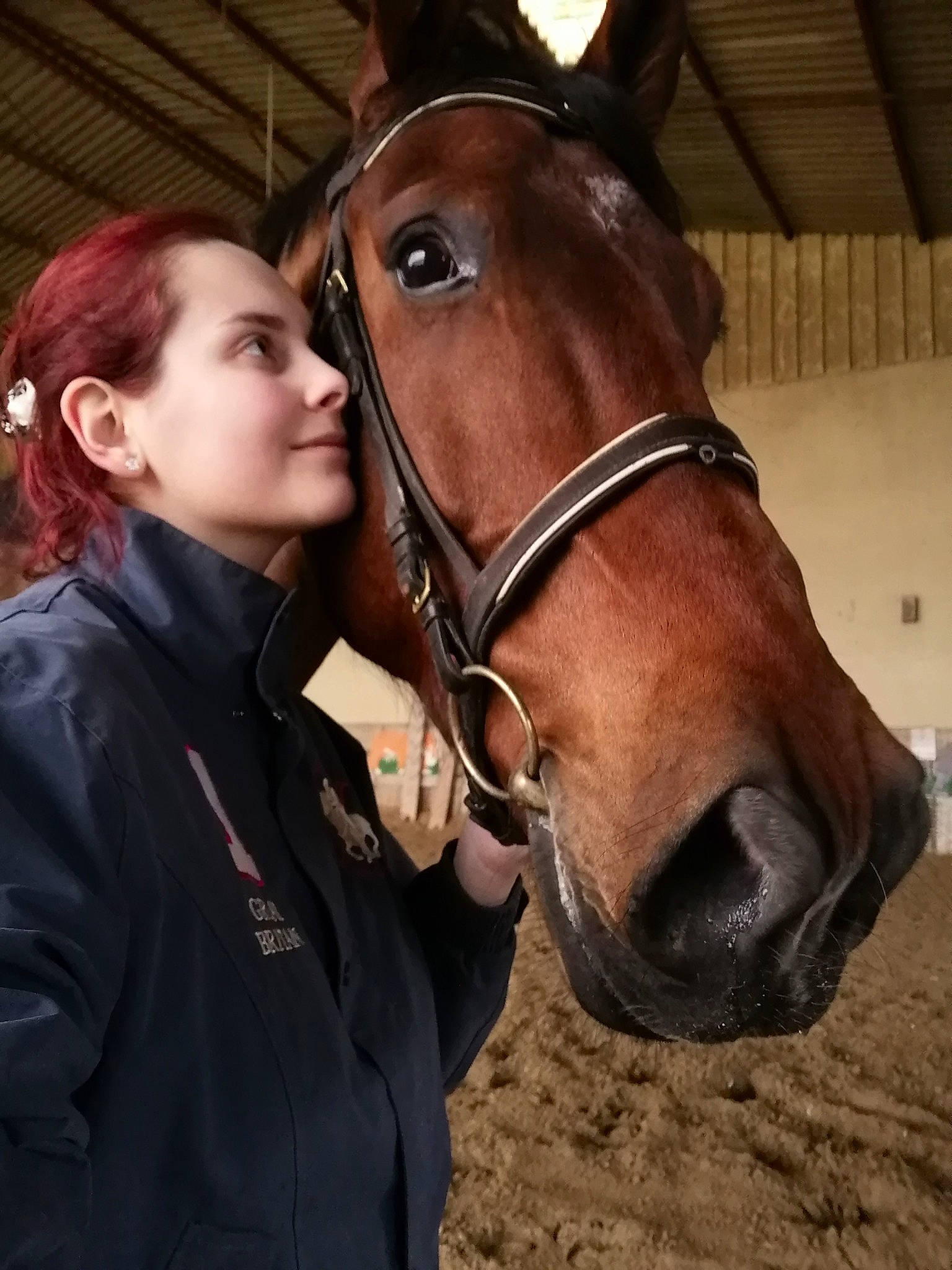 Cristobal Kokka a rejoint le concours — aidez-le/la à gagner de superbes lots ! bit, bridle, halter, horse, horse_grooming, horse_harness, horse_supplies, horse_tack, horse_trainer, liver, mammal, mane, mare, neck, rein, riding_instructor, snout, stallion