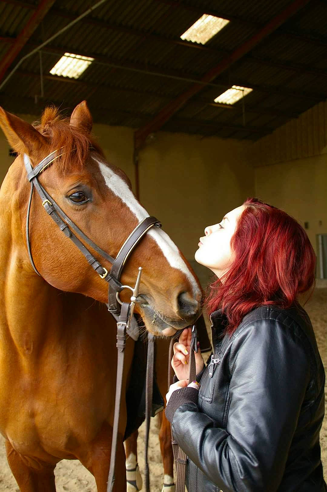 Romane D'Hauterive a rejoint le concours — aidez-le/la à gagner de superbes lots ! bridle, halter, horse, horse_grooming, horse_harness, horse_supplies, horse_tack, horse_trainer, liver, mammal, mane, mare, organism, recreation, rein, riding_instructor, snout, sorrel, stable, stallion