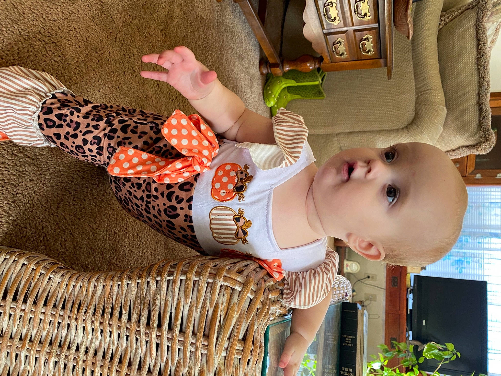 Meredith is registered to the contest to win money with this photo: baby, baby_products, baby_toddler_clothing, child, flowerpot, houseplant, nail, outdoor_furniture, pattern, peach, person, skin, surprise, toddler, wicker, window_blind