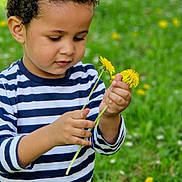 Nathaniel a rejoint le concours — aidez-le/la à gagner de superbes lots ! casual_clothing, child, curiosity, curly_hair, cute, dandelions, daylight, exploration, flowers, green_grass, holding, nature, outdoor, person, plants, portrait, spring, striped_shirt, toddler, young_child