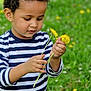 casual_clothing, child, curiosity, curly_hair, cute, dandelions, daylight, exploration, flowers, green_grass, holding, nature, outdoor, person, plants, portrait, spring, striped_shirt, toddler, young_child
