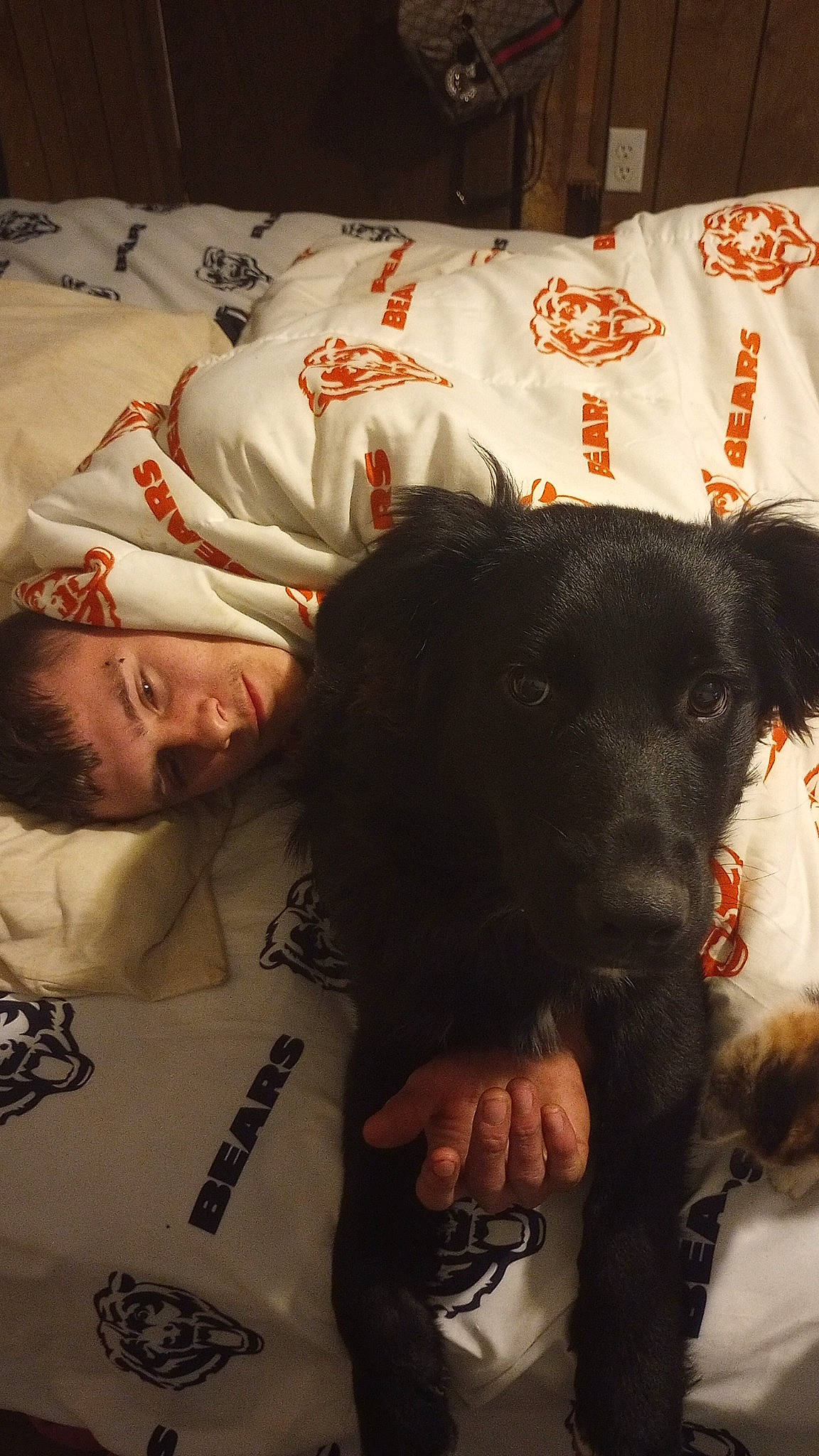 Dallas Hayz joined the competition — help win amazing prizes! borador, canidae, carnivore, comfort, companion_dog, couch, dog, dog_breed, flesh, fur, gesture, guard_dog, snout, sporting_group, t_shirt, working_animal