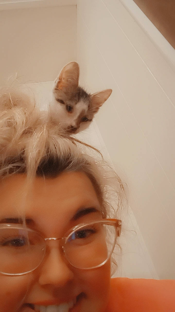 Georgia joined the competition — help win amazing prizes! beard, carnivore, cat, ear, eyebrow, eyelash, eyewear, felidae, fur, gesture, glasses, happy, iris, jaw, nose, selfie, small_to_medium_sized_cats, tail, vision_care, whiskers