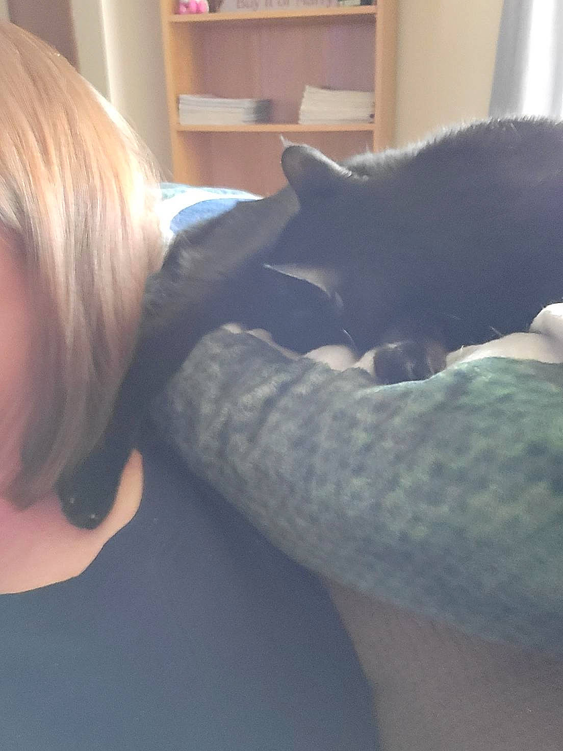 Cleopatra joined the competition — help win amazing prizes! beard, carnivore, cat, comfort, ear, elbow, felidae, fur, gesture, human_leg, interaction, jaw, neck, selfie, sitting, small_to_medium_sized_cats, snout, t_shirt, tail, whiskers