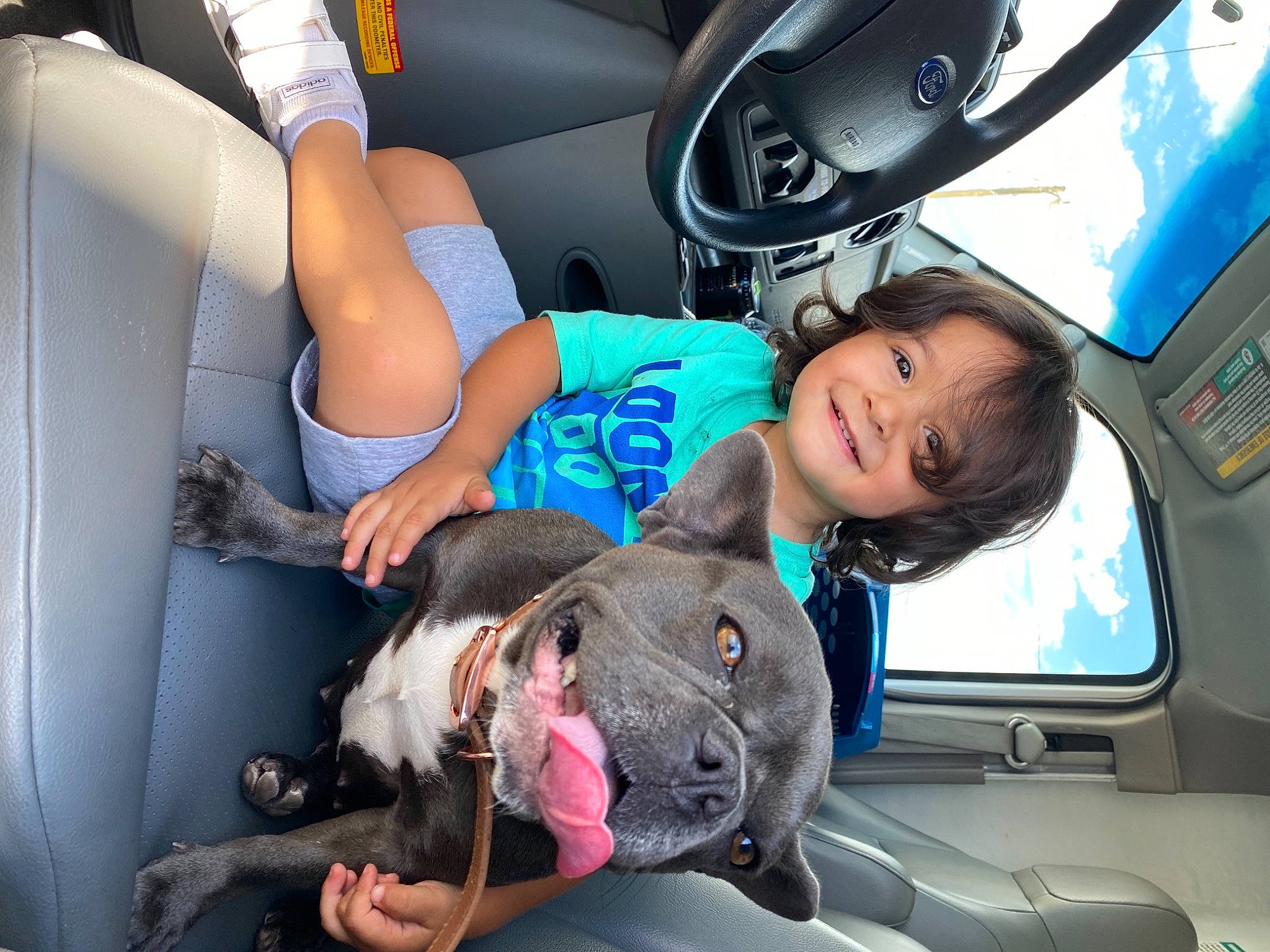 Jayden joined the competition — help win amazing prizes! birth, canidae, car_seat, companion_dog, dog, fawn, joy, non_sporting_group, person, sporting_group, vehicle