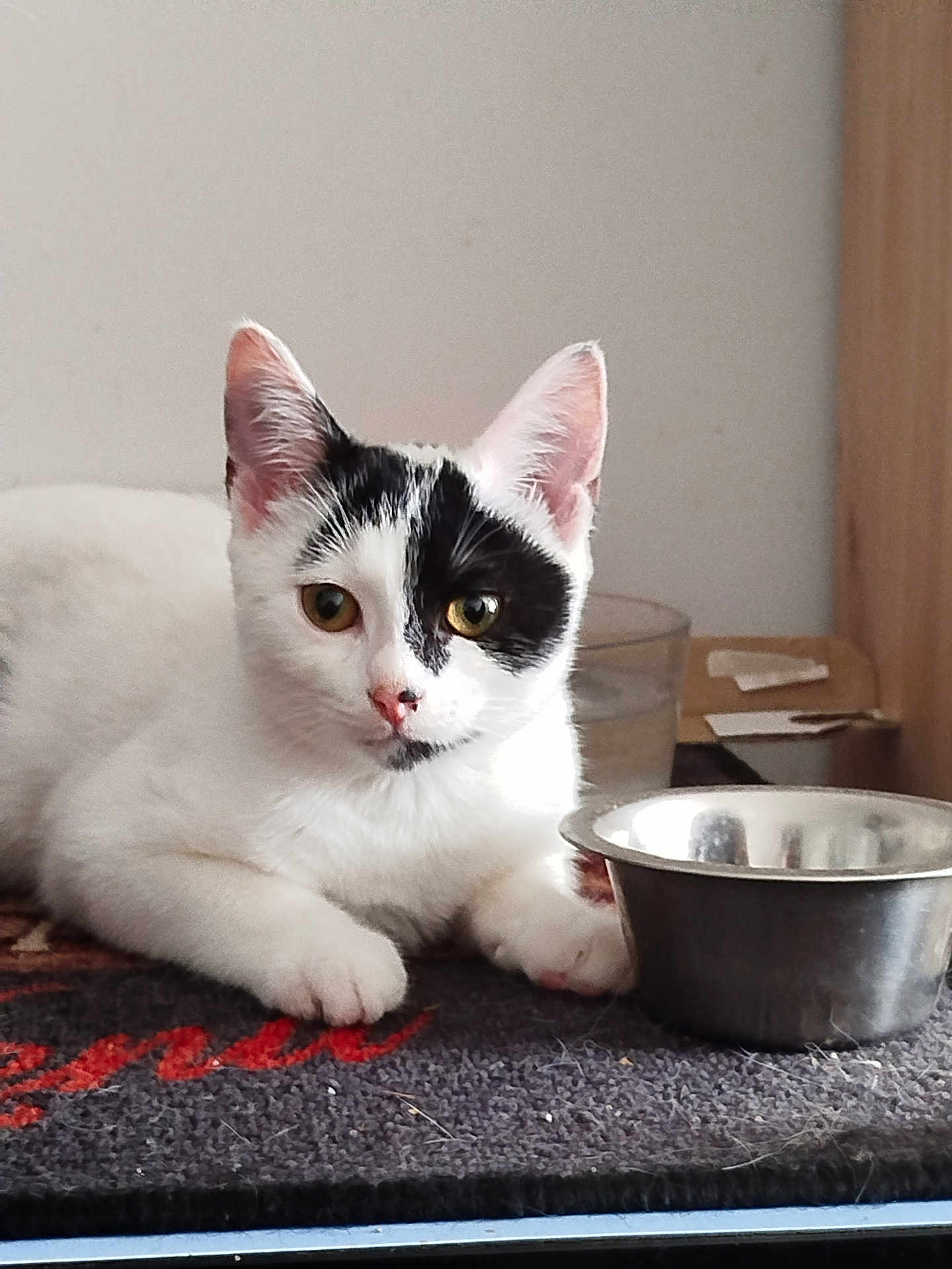 Yumi